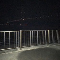 はぐれケンサキ