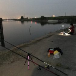 うなぎ釣りリベンジ