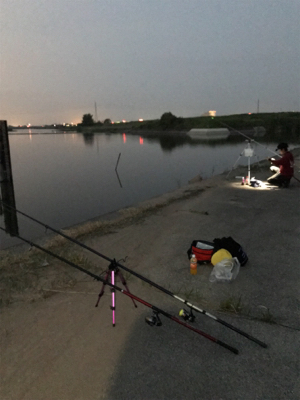 うなぎ釣りリベンジ
