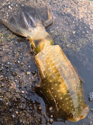 1人の時間を満喫