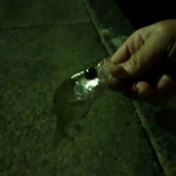 久々の南紀小物釣り