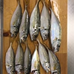 愛想無い………