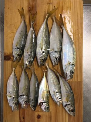 愛想無い………