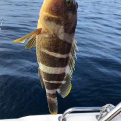 マイボート釣行