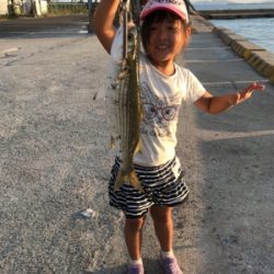 サヨリ釣り 夕方短時間