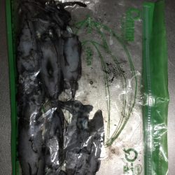 台風が来る前に。