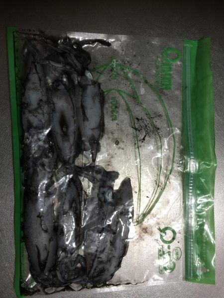 台風が来る前に。