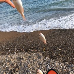 キスをちょっとだけ