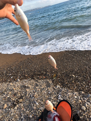 キスをちょっとだけ