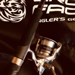 久々のライトゲーム