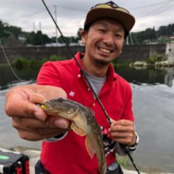 SLSのちハゼング