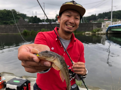 SLSのちハゼング