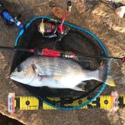 ブリームゲーム