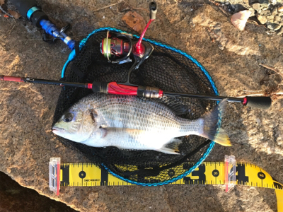 ブリームゲーム