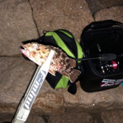 高砂港ガシリング