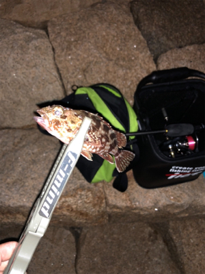 高砂港ガシリング