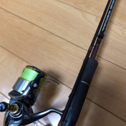 イカでも釣らにいくか。