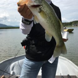 大幅減水の桜池