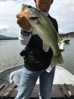 大幅減水の桜池