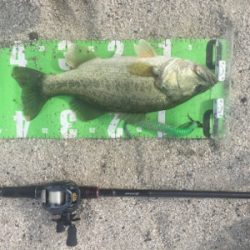 琵琶湖初釣果！