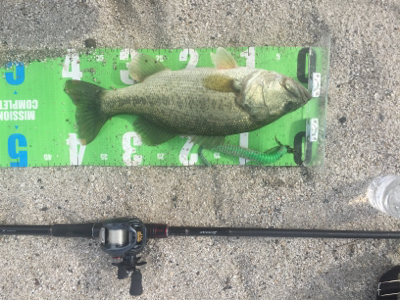 琵琶湖初釣果！