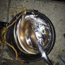 何匹釣れたか、わかりません。