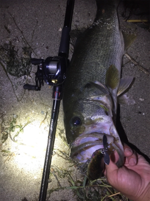 台風前にビッグフィッシュ！