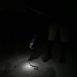 うなぎ釣り再リベンジ