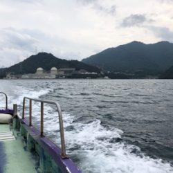 雨中のエギング