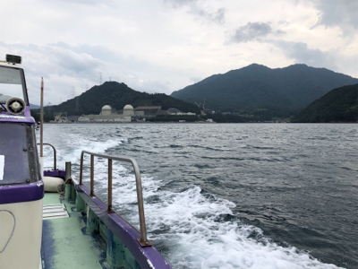 雨中のエギング