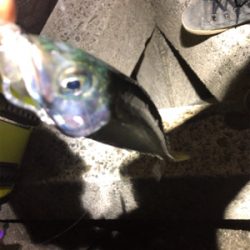 ライトゲーム！