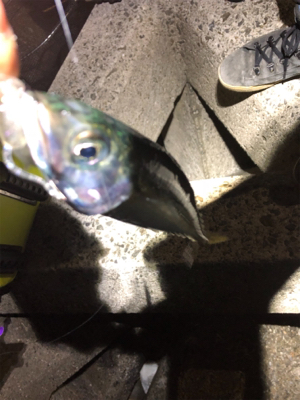 ライトゲーム！