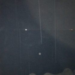 台風後の調査！