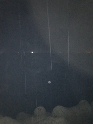 台風後の調査！