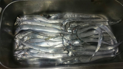 爆釣！！！！！！