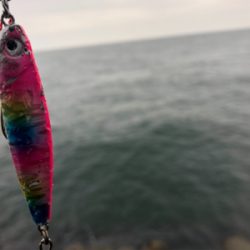 小雨のうちのサバ祭り(^^)♪