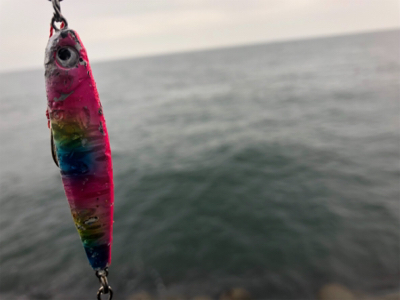 小雨のうちのサバ祭り(^^)♪