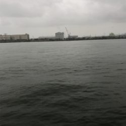 短時間 サヨリ狙い