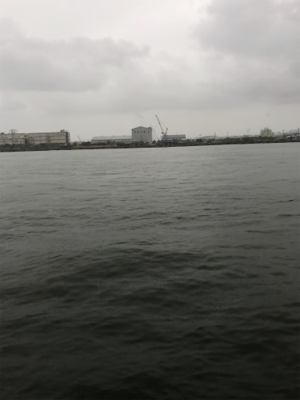 短時間 サヨリ狙い