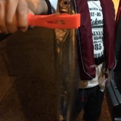 台風後、初アジング