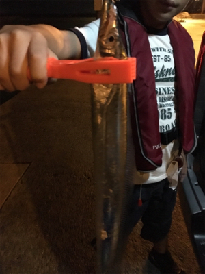 台風後、初アジング