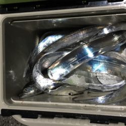 夕方雨が止んでいたのでー