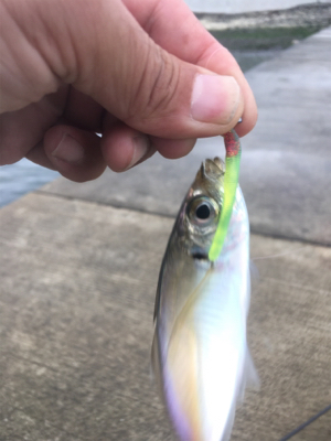 気づけば夕方でした（苦笑）