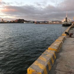 昼から4時間 サヨリ釣り