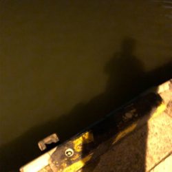 濁りがきつい…