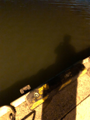 濁りがきつい…