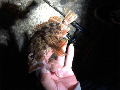 高砂ガシリング