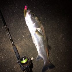 シーバススーパーボイル！