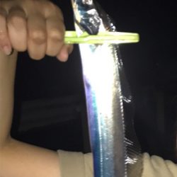 食品コンビナートにて。