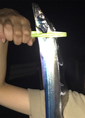 食品コンビナートにて。